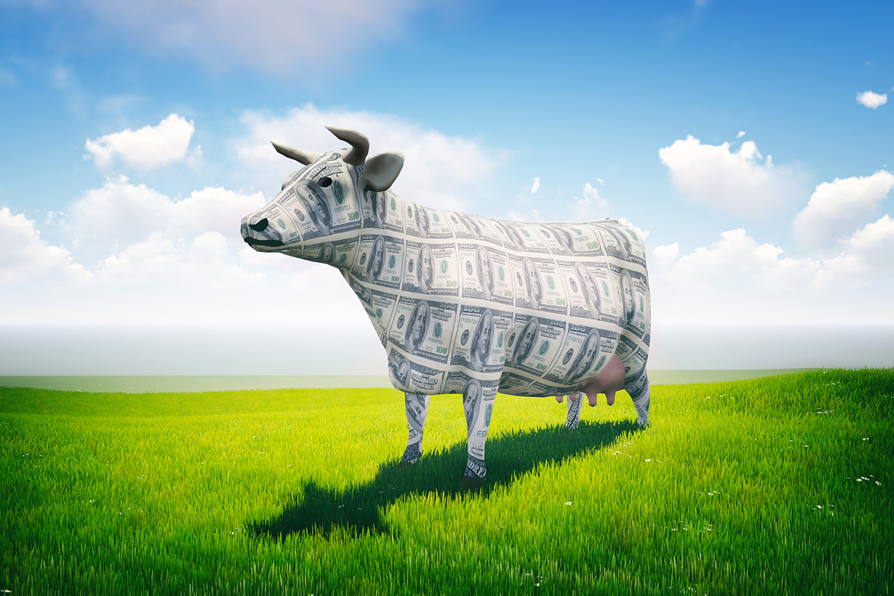 halifax students boost the economy