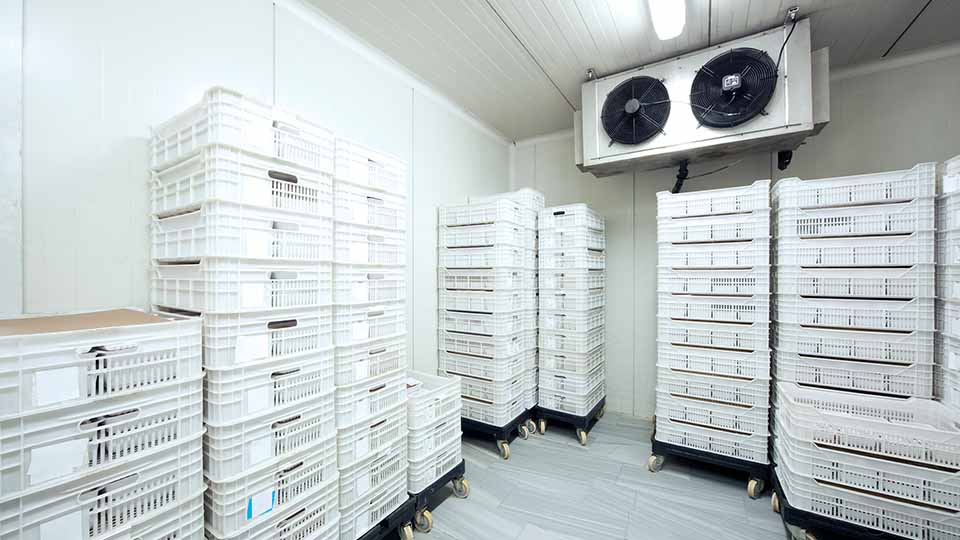 FindStorageFast.com Climate Controlled Units